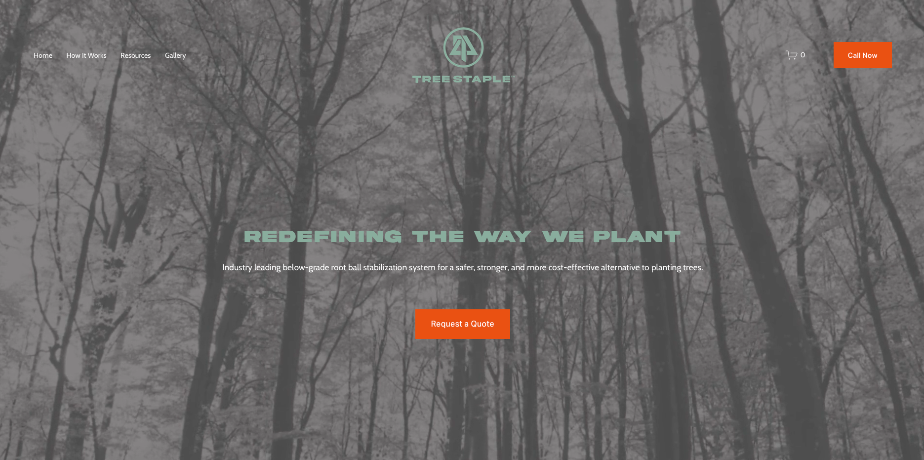 Team members collaborating at TruMedia Creative