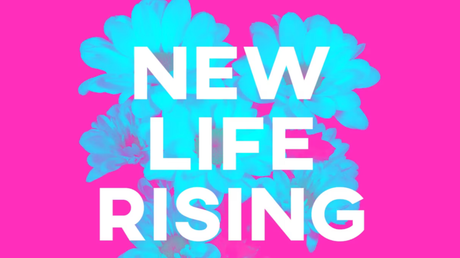 Nuxt UI Screenshot 12